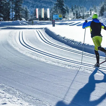Panorama Moesern Seefeld in Tirol