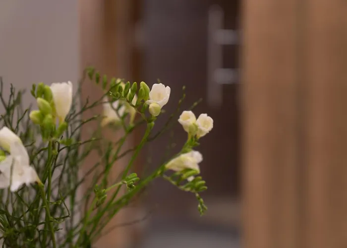 Apartament Panorama Moesern *