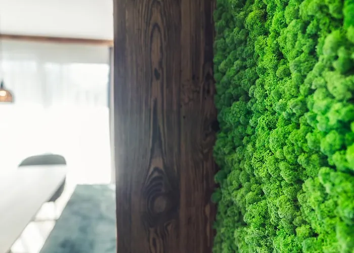 Panorama Moesern Apartament Seefeld w Tirolu