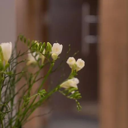 Apartamento Panorama Moesern *